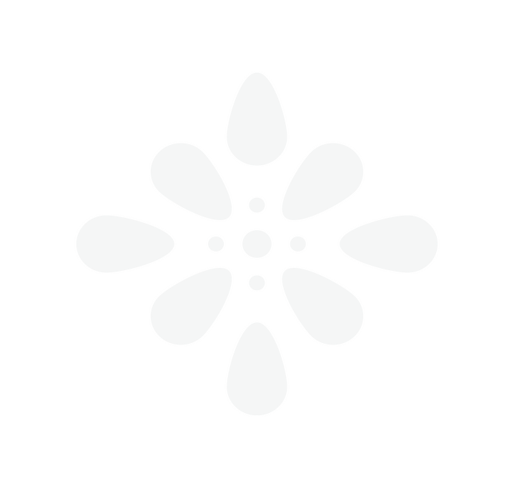 Northstar Initiative Logo Diagram