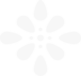 Northstar's secondary font of choice, Zed Text Extra-Wide L. This type has been chosen for signage specifically as it was the highest scored type from the acuity tests performed for the Zed typeface.