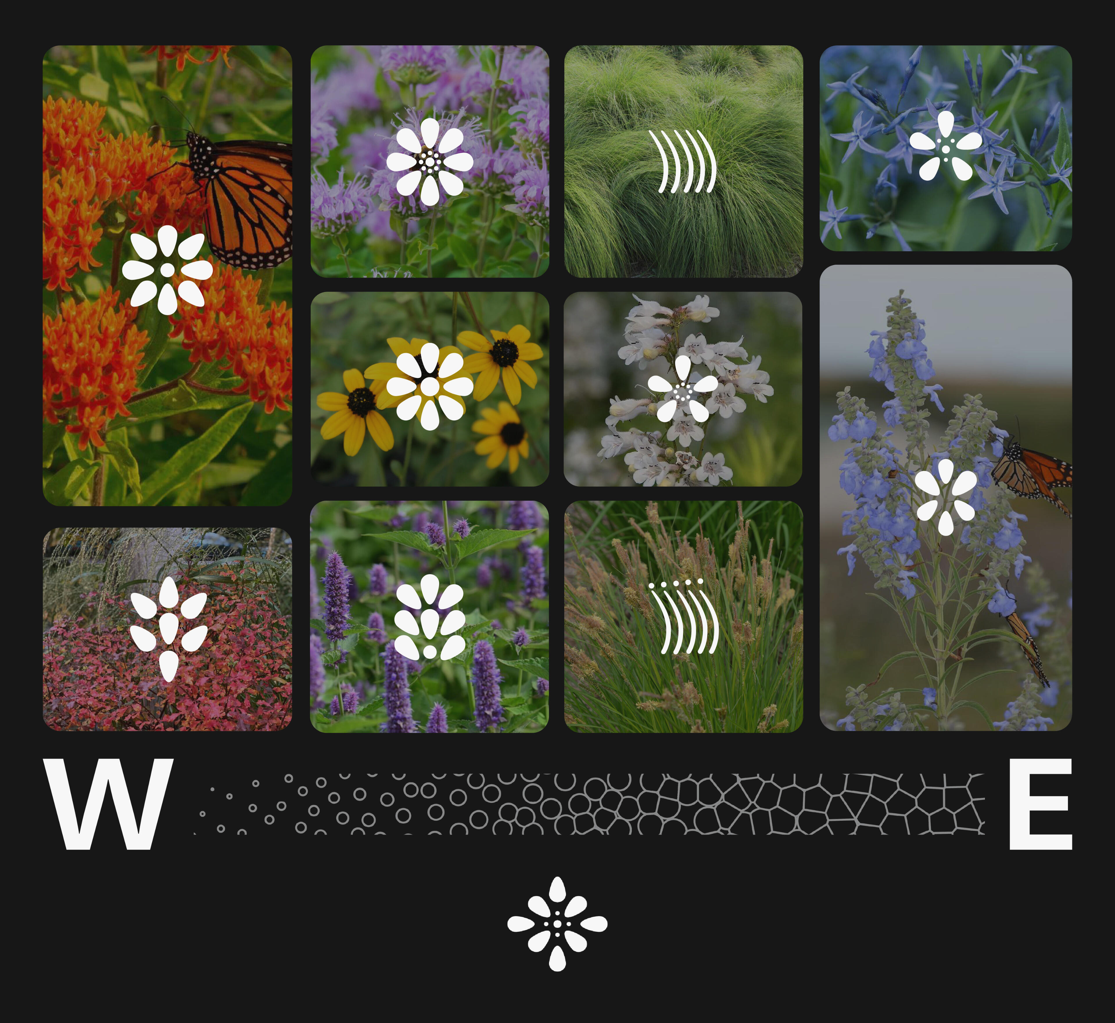 Ecology Grid Ecology grid with west vs east plant grouping